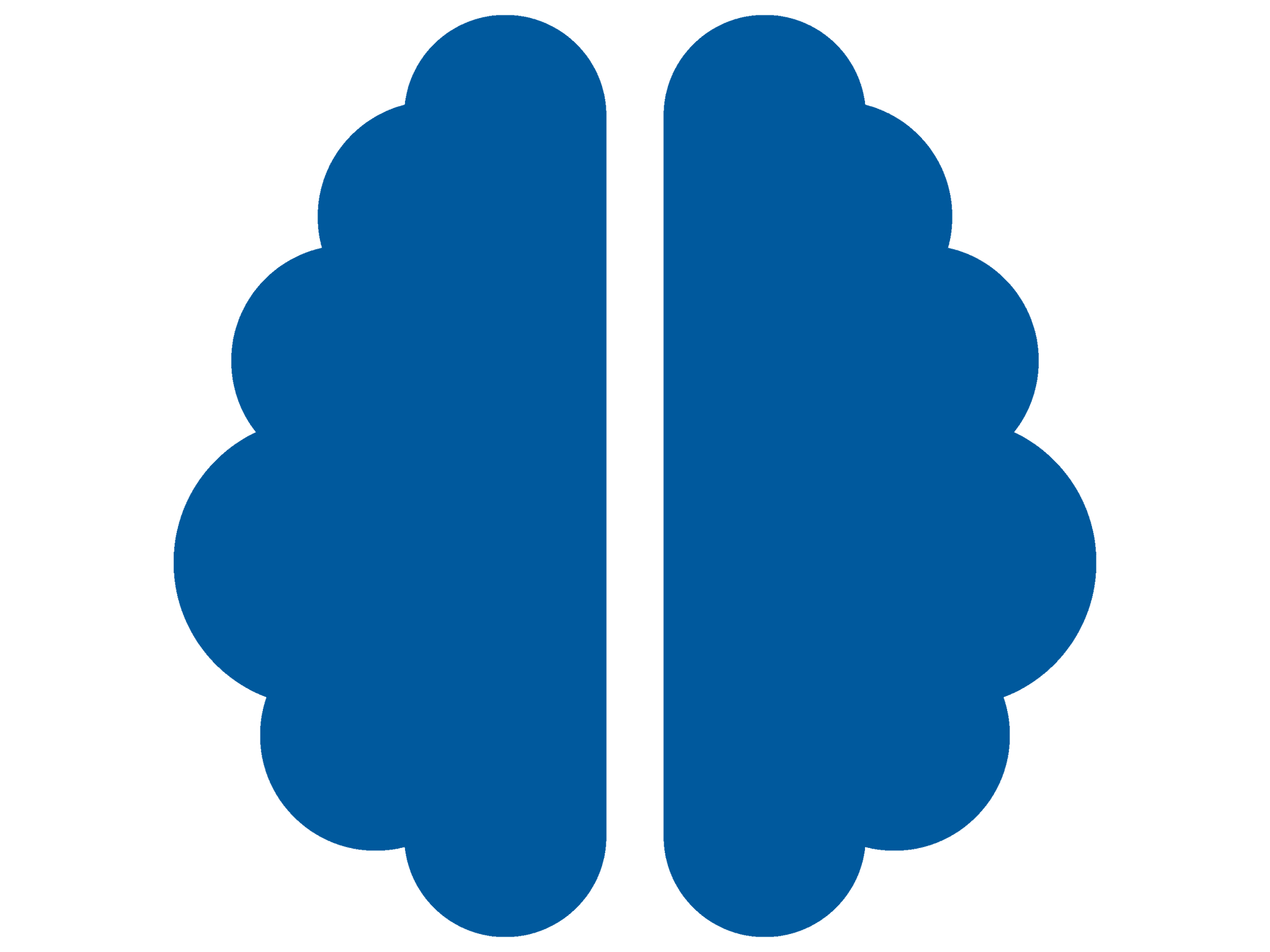 Brain Lerinc Blau 4:3